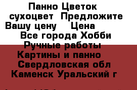 Панно Цветок - сухоцвет. Предложите Вашу цену! › Цена ­ 4 000 - Все города Хобби. Ручные работы » Картины и панно   . Свердловская обл.,Каменск-Уральский г.